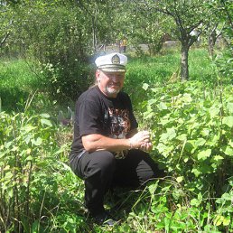 ������, ������, 65 ���