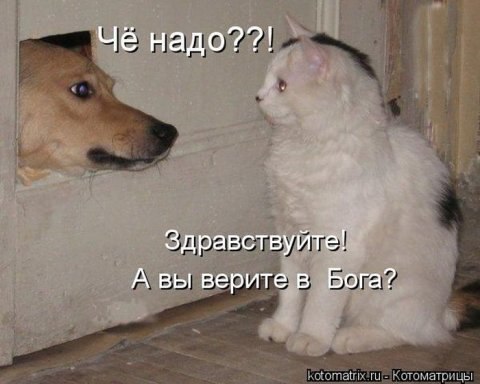   - 20  2016  20:01