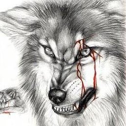 ������, �������, 44 ����