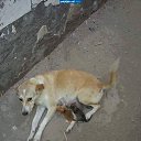  Aleksandr, -, 63  -  24  2016    ,   
