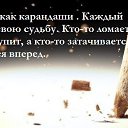 ���� ������� ����������, ���������, 52 ���� - ��������� 25 ������ 2016 � ������ ������ ��������