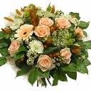 ���� �������, �������� - ��������� 6 ����� 2017 � ������ ���� ����������