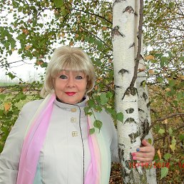 ������, �������, 71 ���