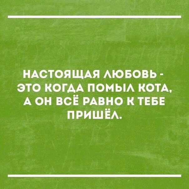     - 18  2016  16:22