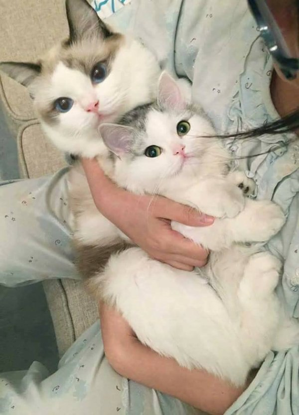   :3 - 2
