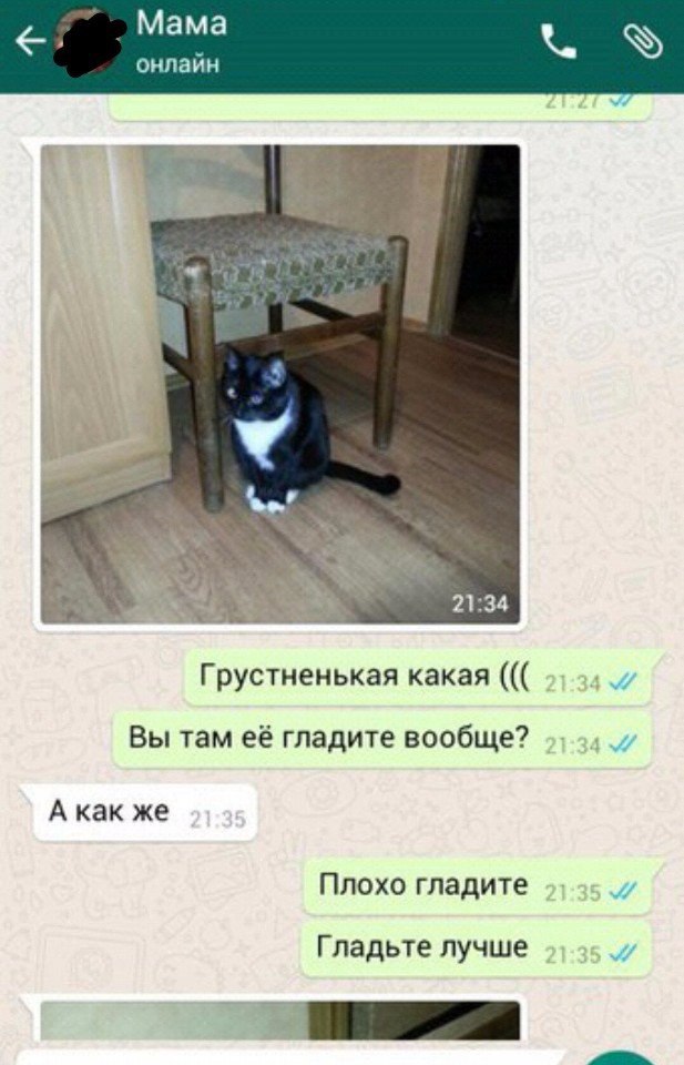    ,      