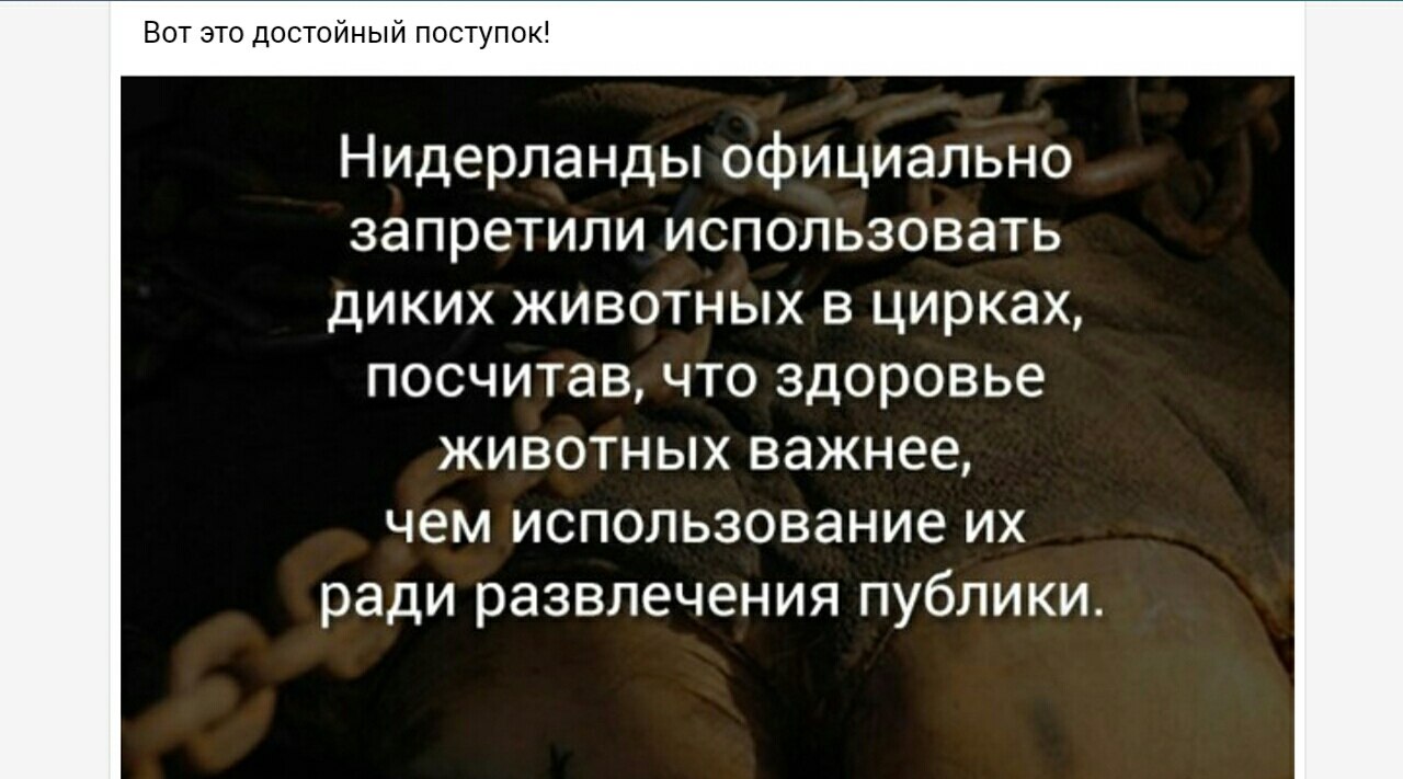   ... - 7  2017  12:06