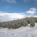 ���� ���, ��������, 58 ��� - ��������� 21 ������� 2016 � ������ ����� , ����.....�