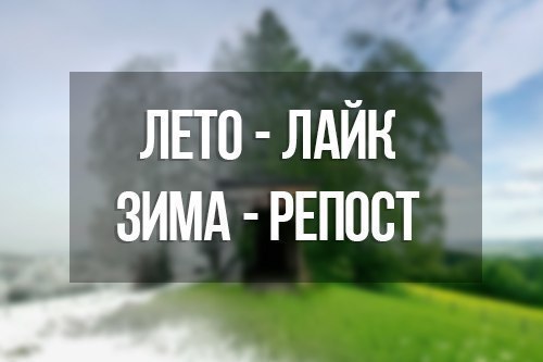   - 8  2017  02:19