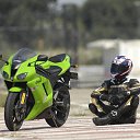 ���� ��������, ������������� - ��������� 5 ����� 2017 � ������ ���� ����������