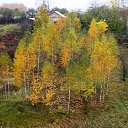 ���� �����, �������, 63 ���� - ��������� 6 ������� 2017 � ������ ���� ����������