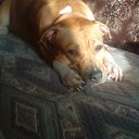 ���� ������, ������, 49 ��� - ��������� 24 ������ 2016 � ������ ���� ����������