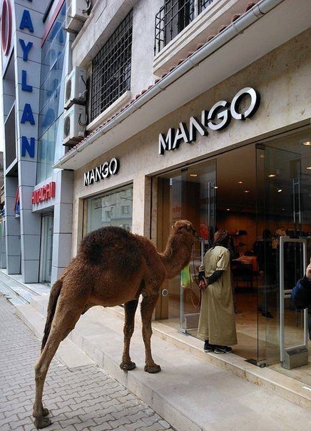 -�������, �� ����� ? ����� ����...