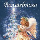 ���� Toy, ������, 65 ��� - ��������� 27 �������� 2016 � ������ ���� ����������
