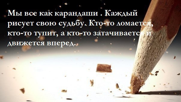 Алексей Городничий - 25 ноября 2016 в 18:47