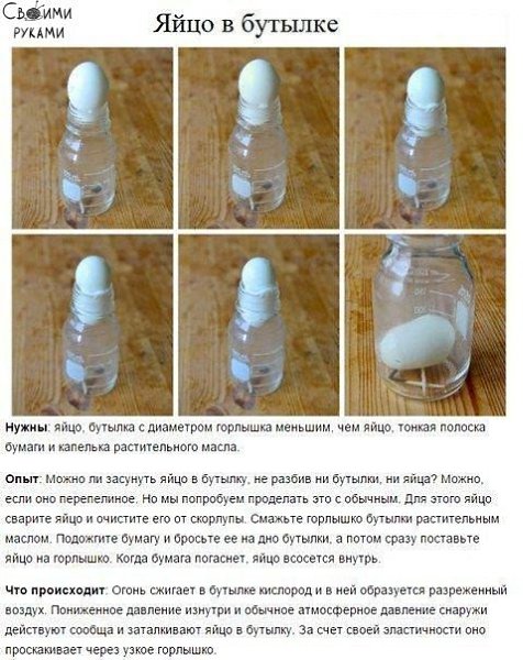 8 опытов, которые можно показать детям. - 8