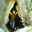  , --, 53  -  4  2016   . )