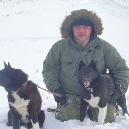 ���� �������, ���������, 50 ��� - ��������� 21 ������� 2016