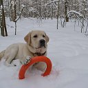 ���� ����, �������, 55 ��� - ��������� 13 ������� 2017 � ������ ���� �����