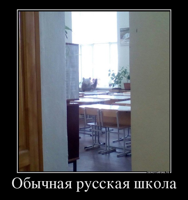   : <a href=