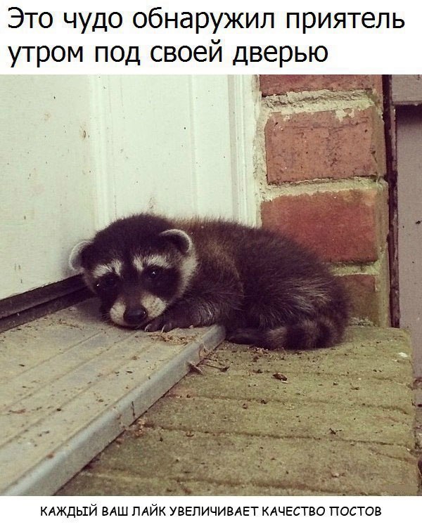 - 5  2017  02:05