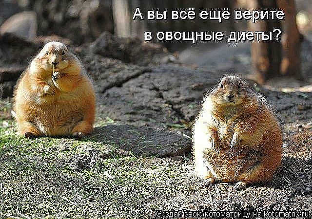 ***Victoria Viktorovna*** - 8  2017  15:02