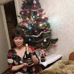 Svetulja, ����, 55 ���