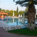  Alex, , 49  -  13  2016    