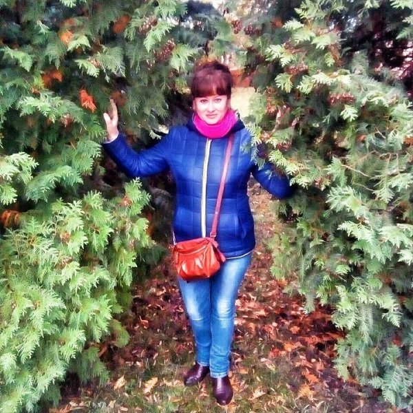 кимры романово