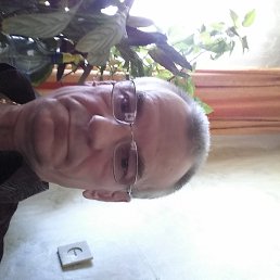 �������, �������, 72 ����