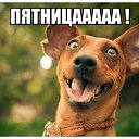 ���� �������, �����, 54 ���� - ��������� 7 ������� 2016 � ������ ������ ��������