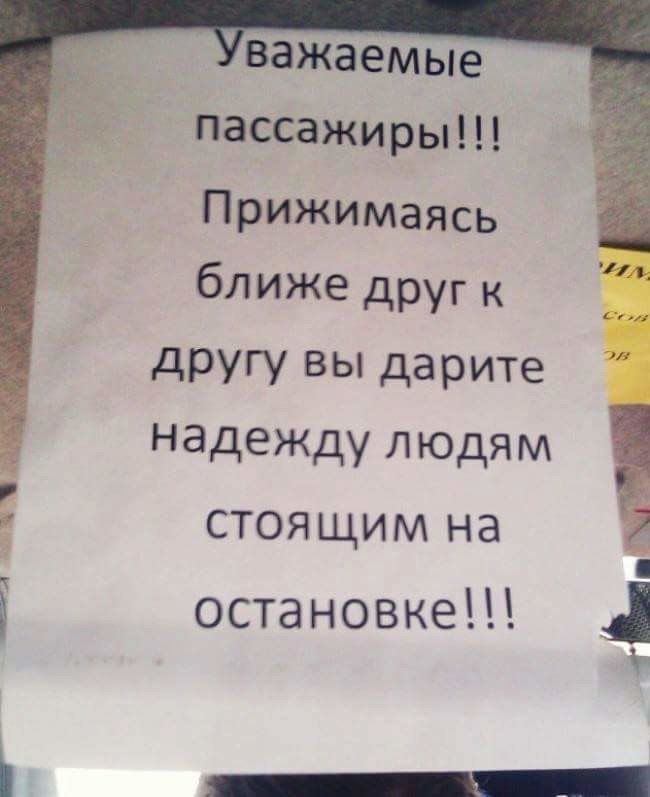  ,  -  .  ,      ... - 11