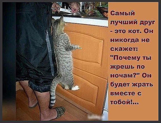    - 3  2017  13:54
