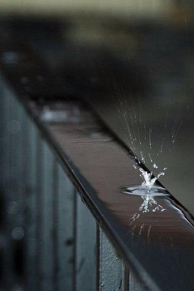Осень превращает привычные маршруты в волшебные тропинки и добавляет в знакомые пейзажи капельку ... - 3