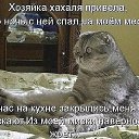 ���� �����, ��������� - ��������� 18 ������ 2017 � ������ ������ ��������