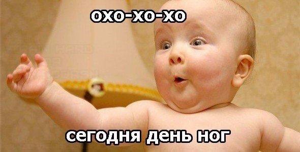 SportFeed - 19  2017  08:19