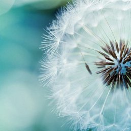 �����, ��������, 28 ���