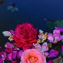 ���� ����, ���� - ��������� 30 ������ 2016 � ������ ������� ������