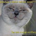 ���� ������, ������ - ��������� 5 ������� 2016 � ������ ��������