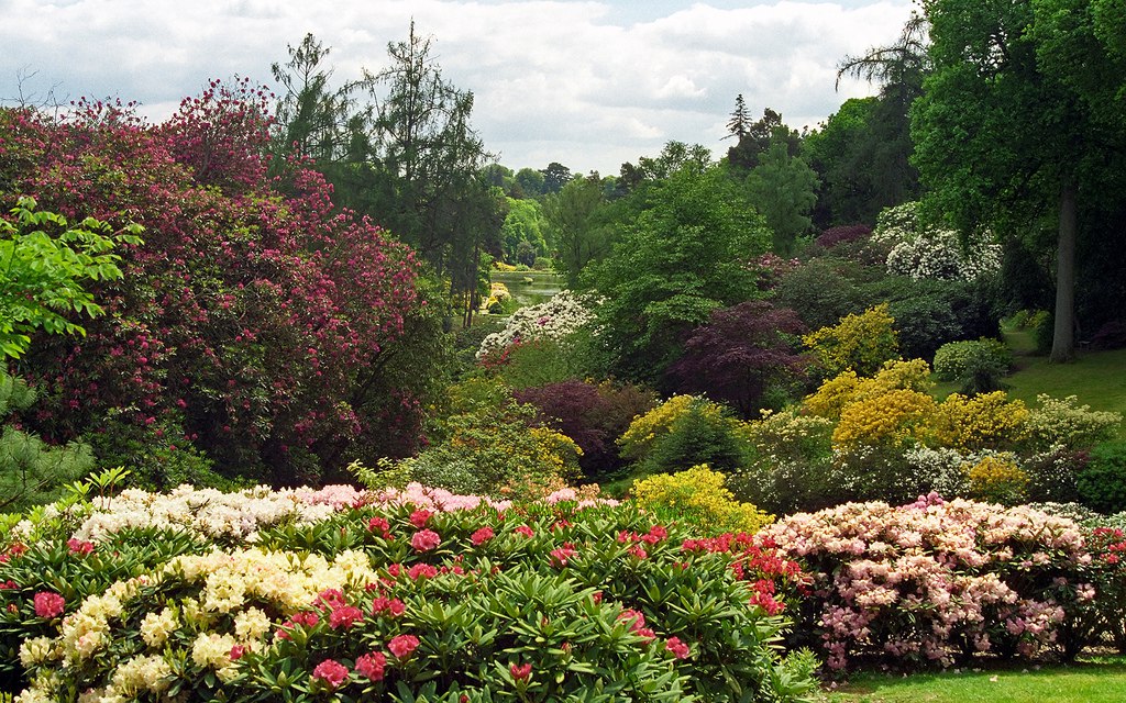 ))). Leonardslee Gardens (  ) , Horsham, West Sussex    ... - 10