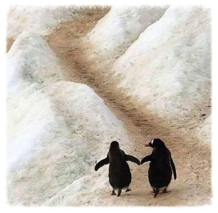 Если хочешь идти быстро — иди один. Если хочешь идти далеко — идите вместе.