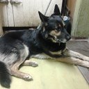  , , 67  -  23  2017    .