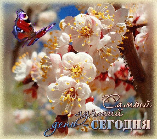 Каждый день - это Дар, особенный и неповторимый! Пусть этот день станет незабываемым, наполненным ...