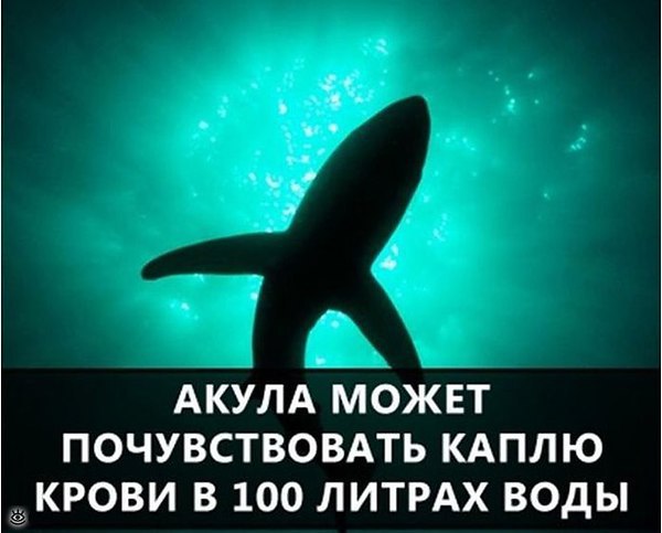  - 2  2016  23:07