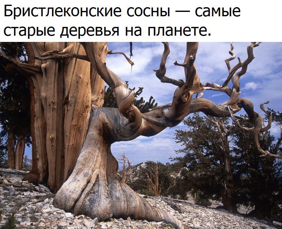  - 13  2016  20:07
