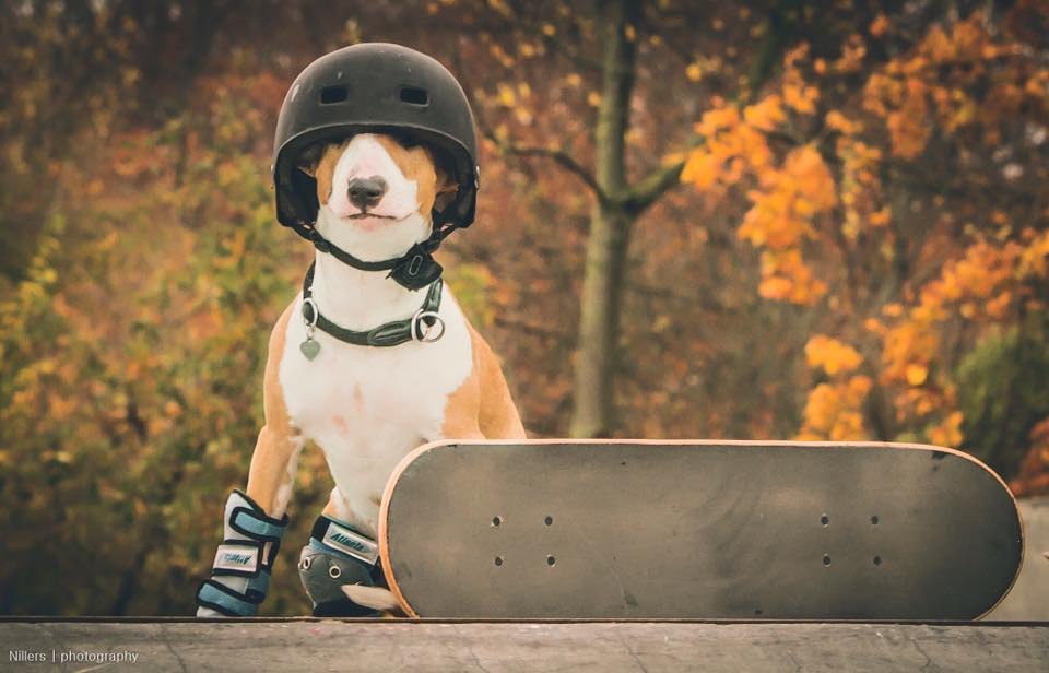 Удачного дня