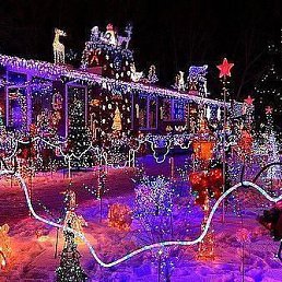 ���� ��������, ���������, 44 ���� - ��������� 18 ������� 2017