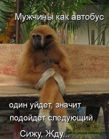 ������� - 17 ������� 2017 � 06:18