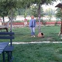 ���� ����, ���������, 54 ���� - ��������� 10 �������� 2016 � ������ ���� ����������