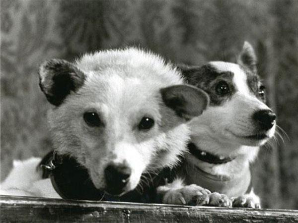     , 1960 .   !